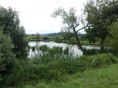 Lilienpark 