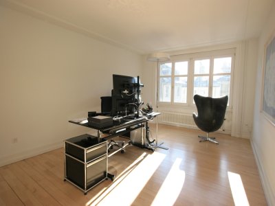 Repräsentative Jugendstilbüros